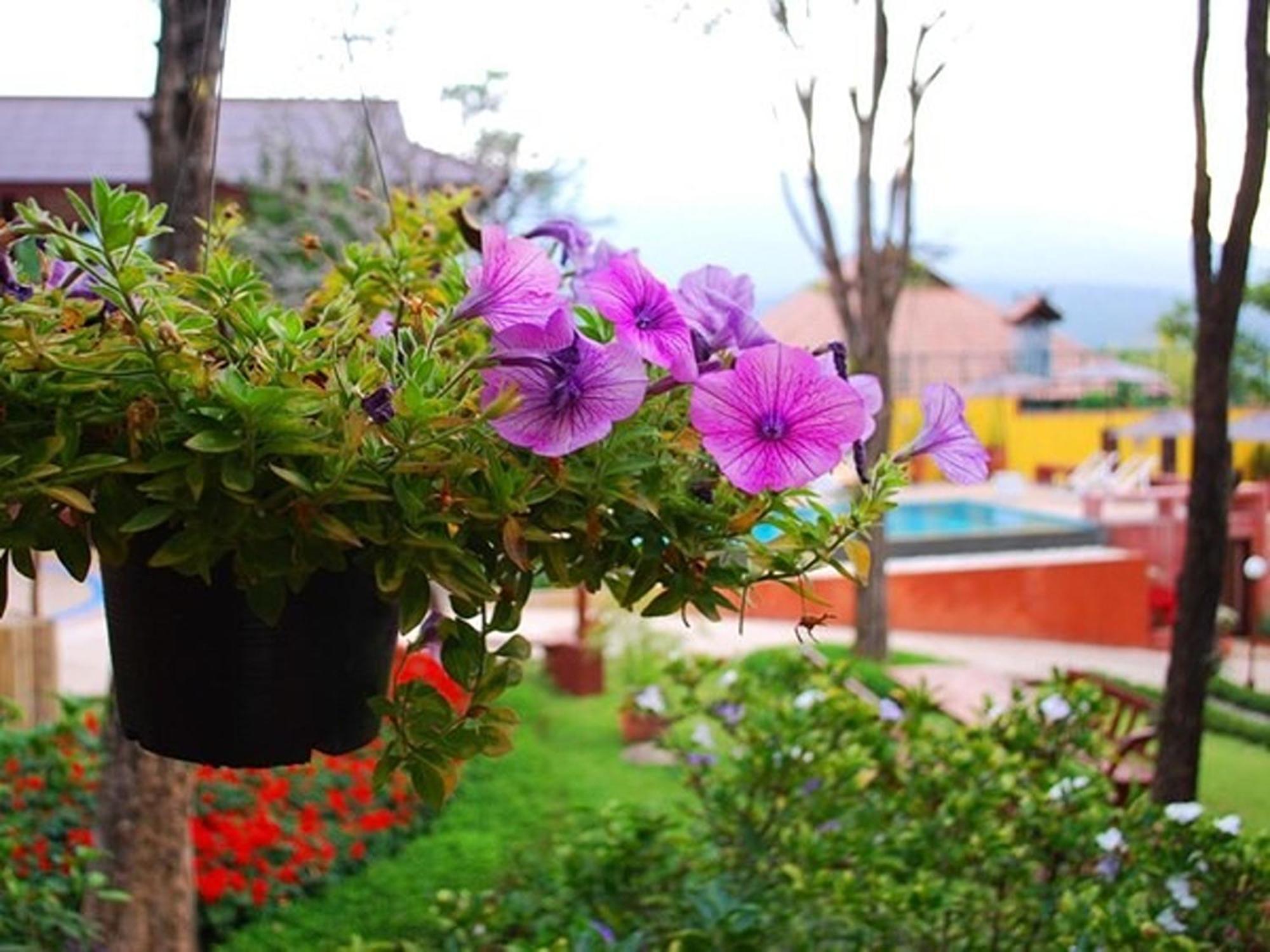 Hotel Insda Wellness 4*