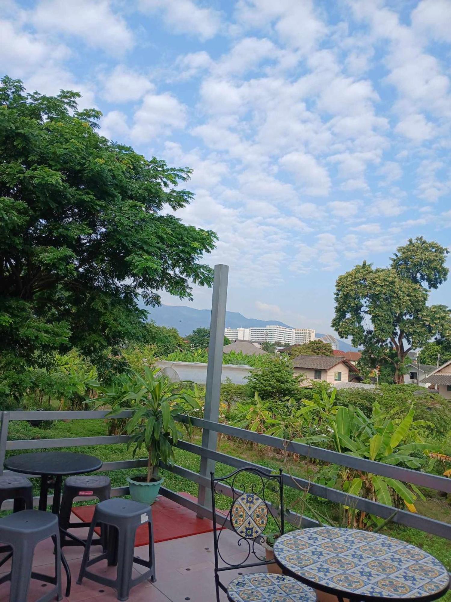 Sakura House Hostel