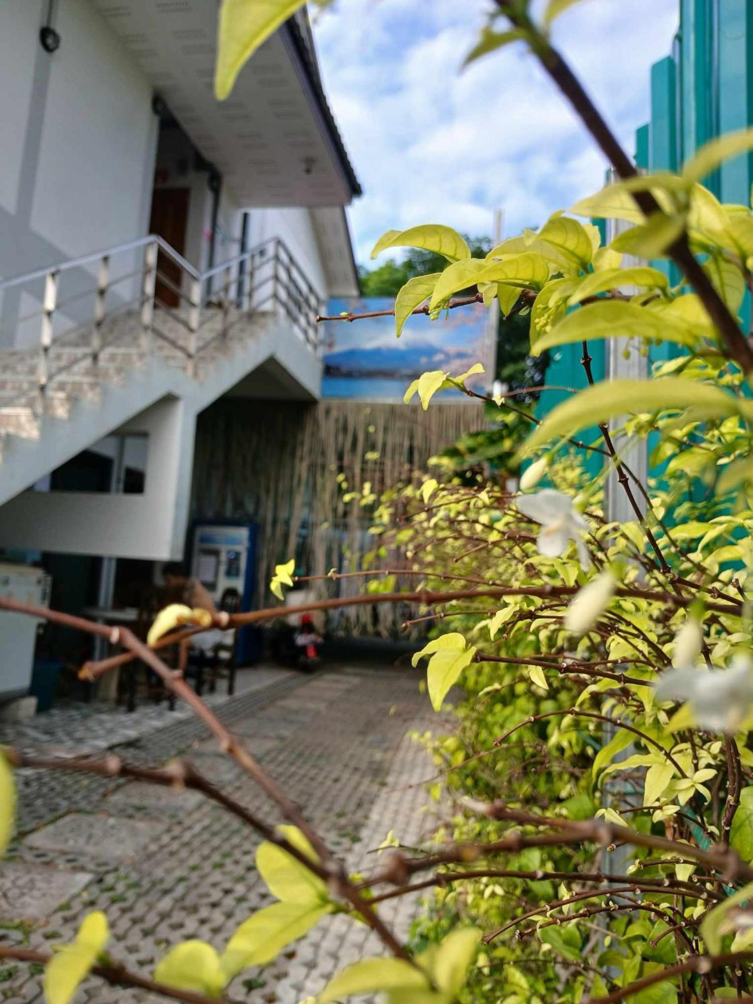 Sakura House * Chiang Mai