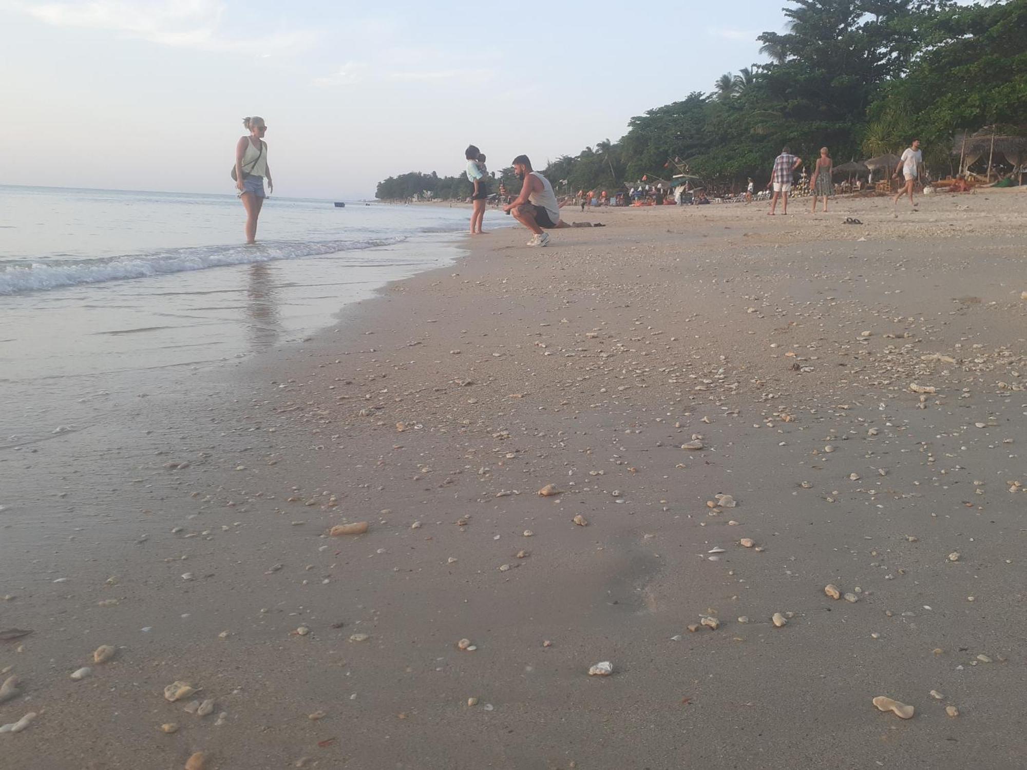 Lanta Daisy * Koh Lanta