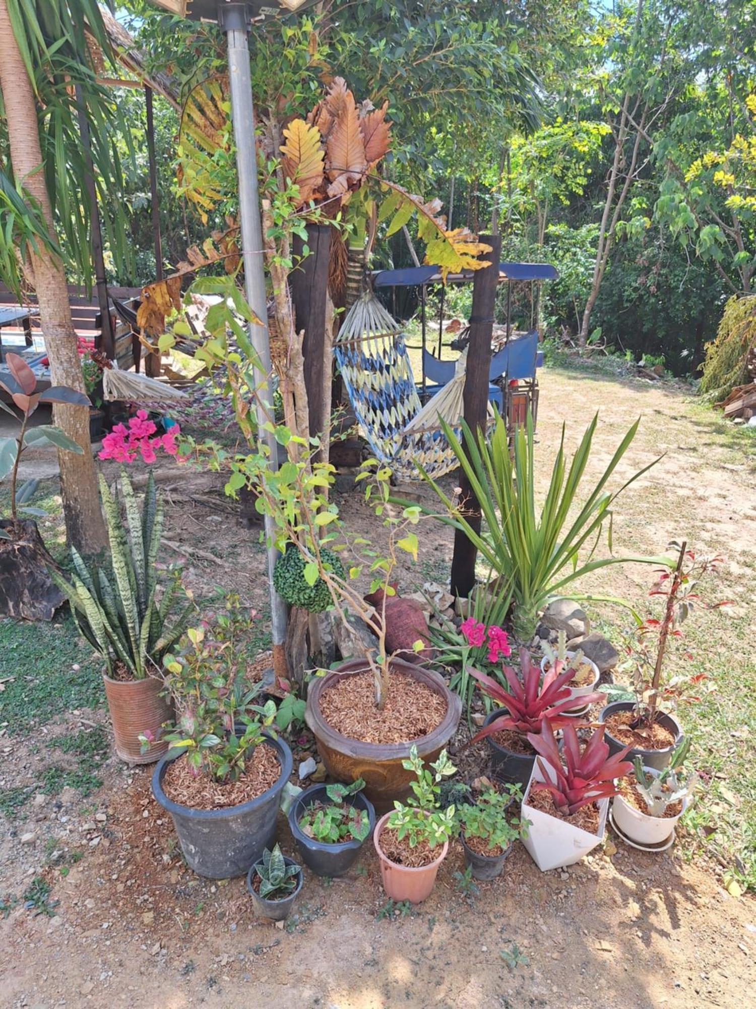 Lanta Happy House Guest house