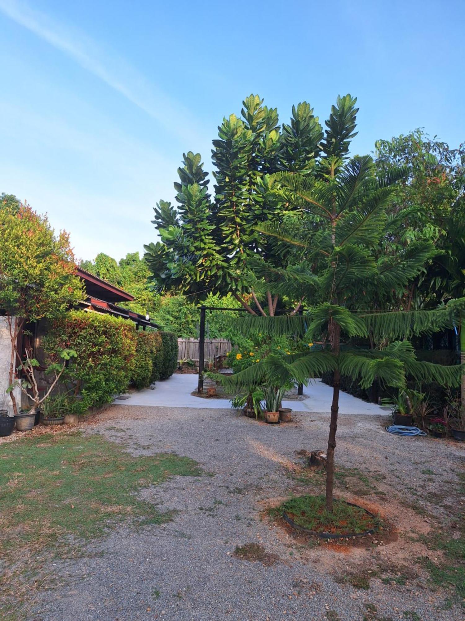 Lanta Happy House Koh Lanta