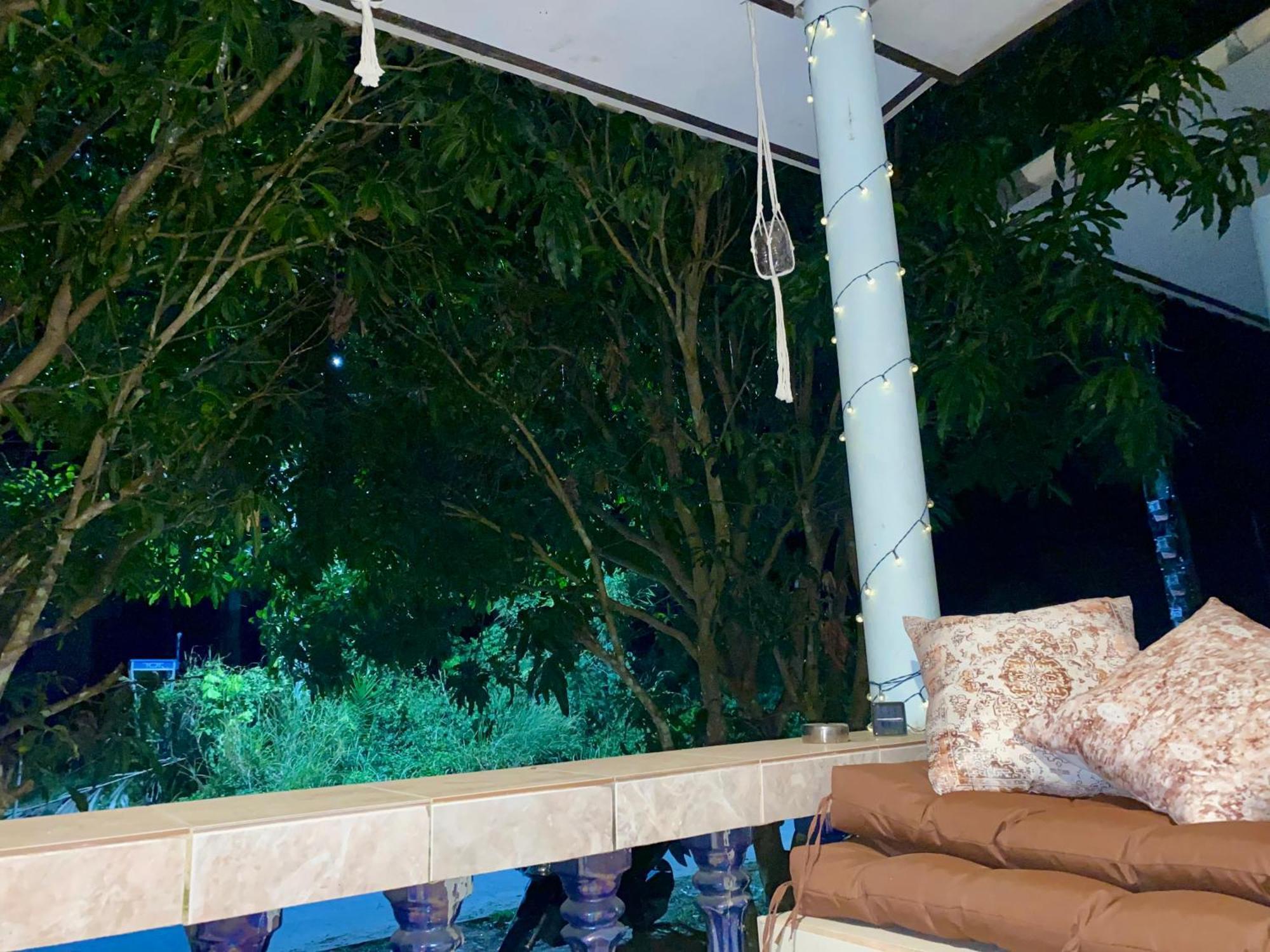 Jungle House Apartment