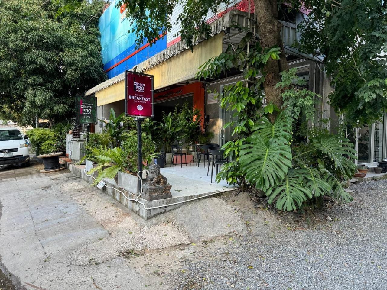 Propaganda * Ko Pha Ngan