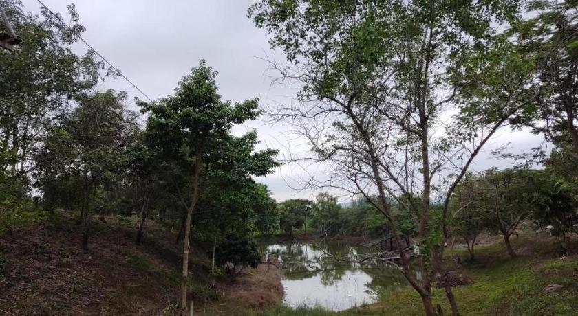 Banrai Pornsawun Suan Phueng