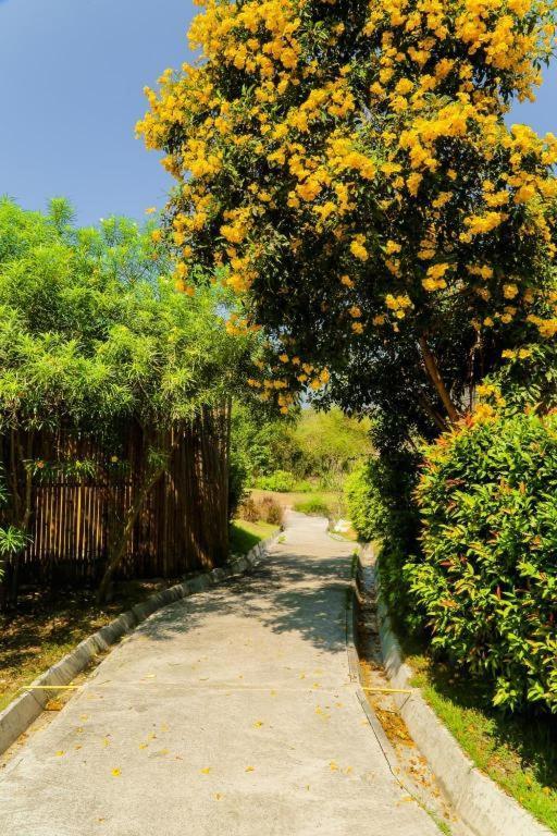 Tammarene 4* Suan Phueng
