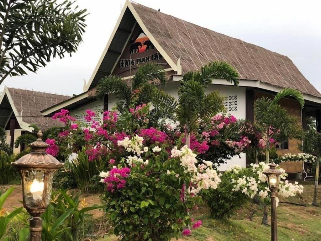 Chang Puak