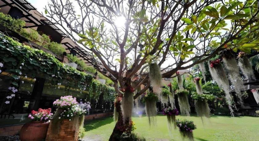 Garden Chiang Mai
