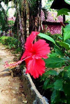 Simply Life * Koh Lanta