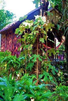 Guest house Simply Life