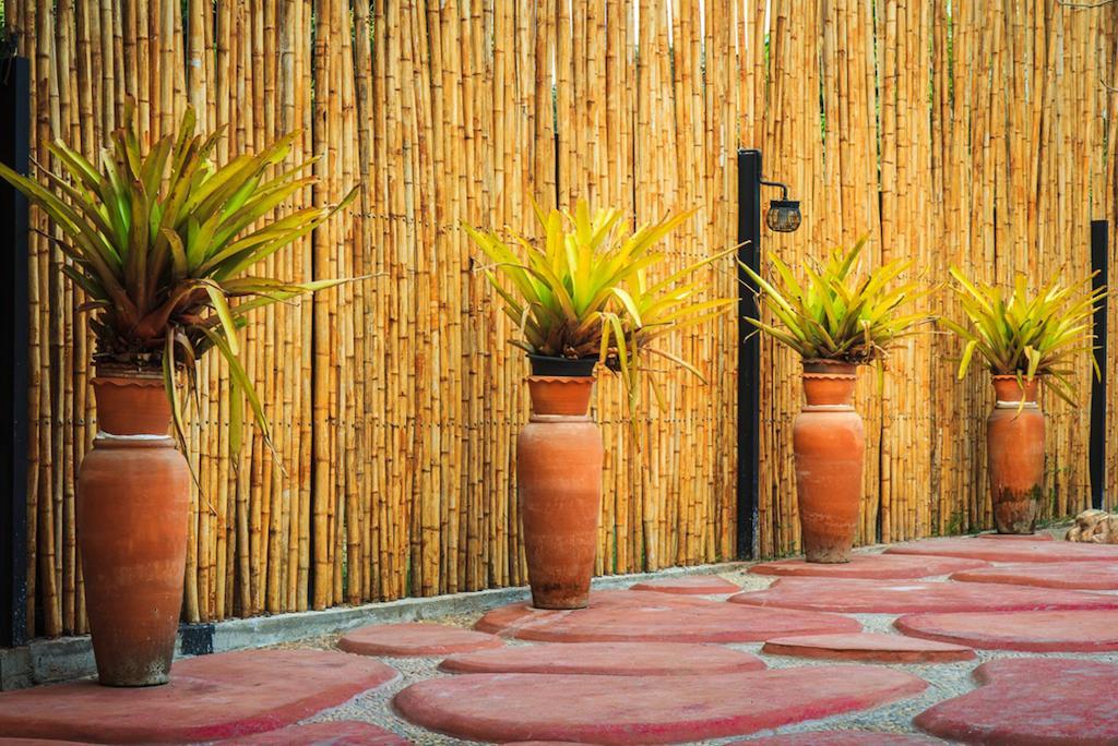 Resort Tammarene Suan Phueng