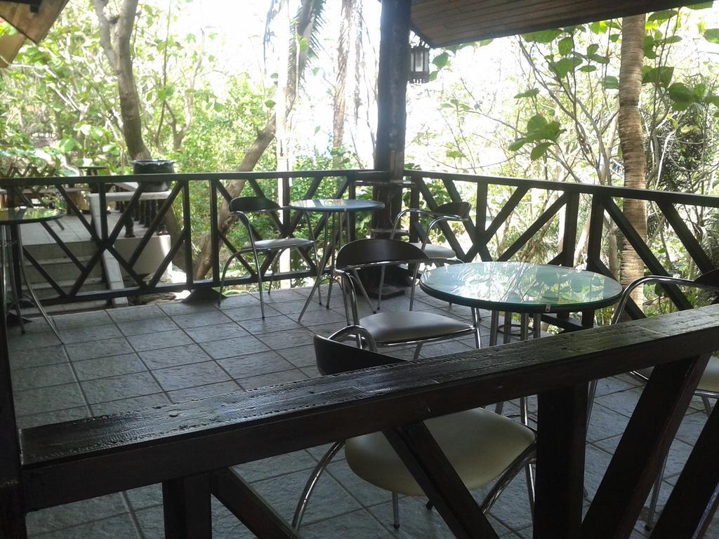 Guest house Jungle Gym