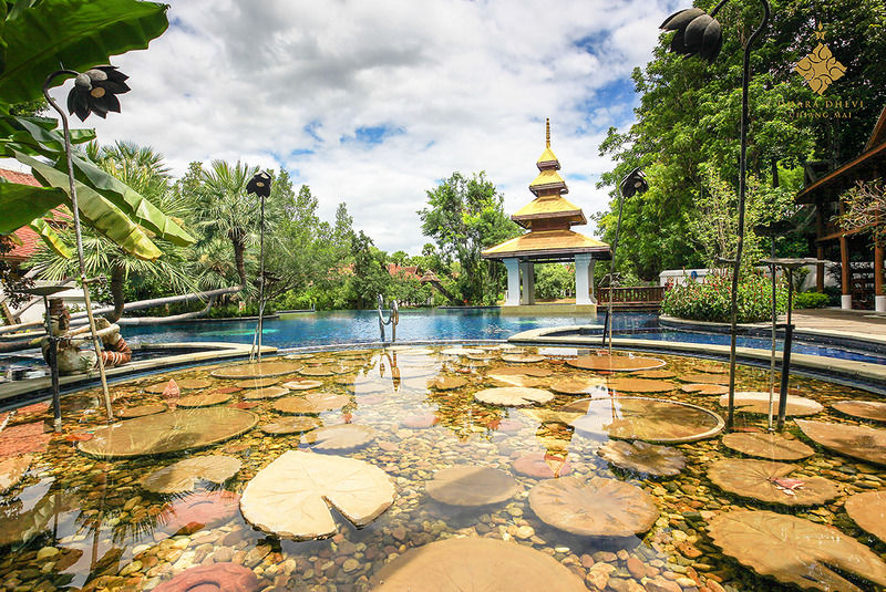 The Dhara Dhevi