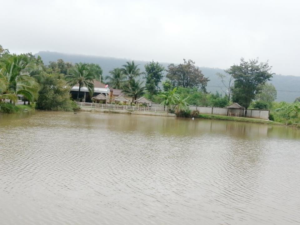Resort Palm 2*