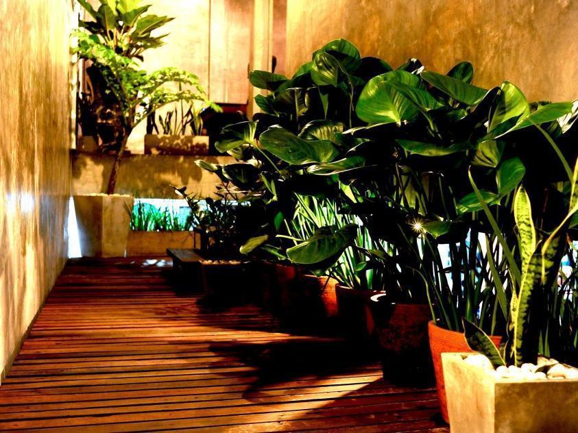 Resort Qi 68