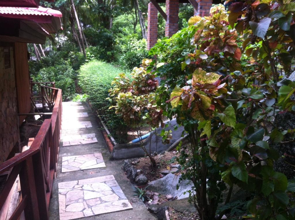 Venus Guest house Haad Rin