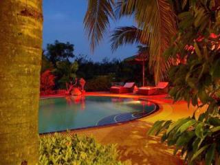 Mountain View Resort