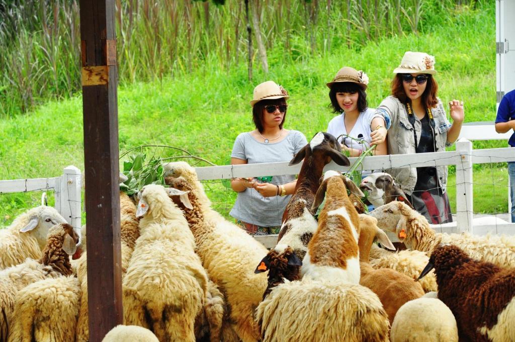 Aristo Chic & Farm Hotel 4*