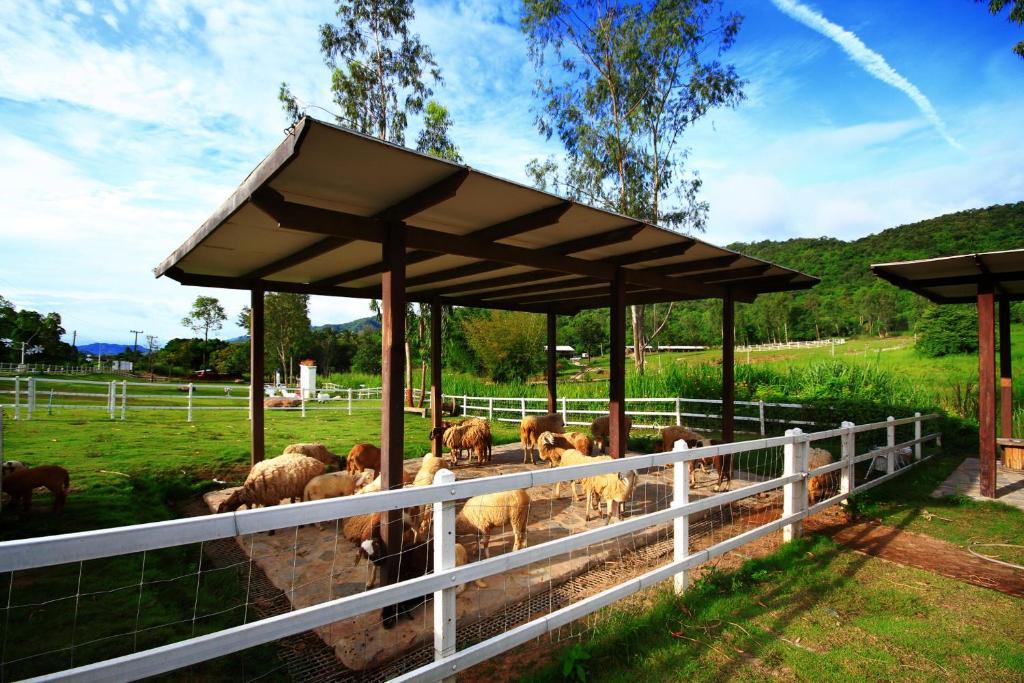 Aristo Chic & Farm 4*