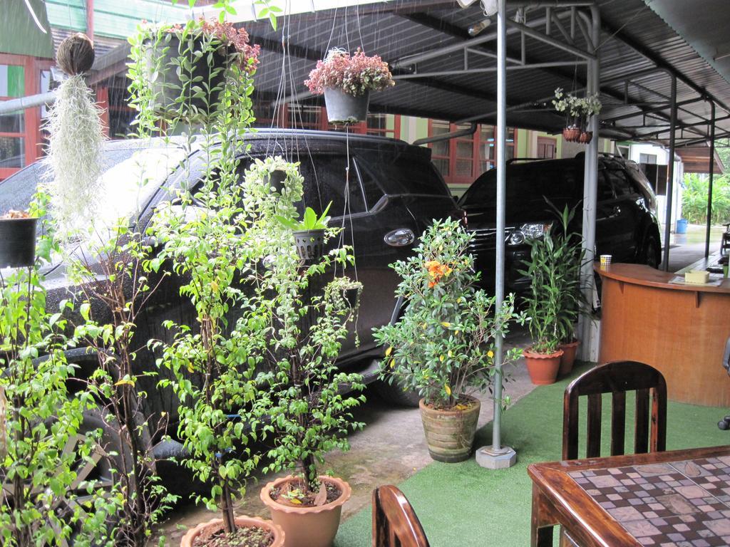 Sakura House Hostel *