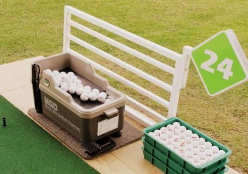 Palm Driving Range & 2*