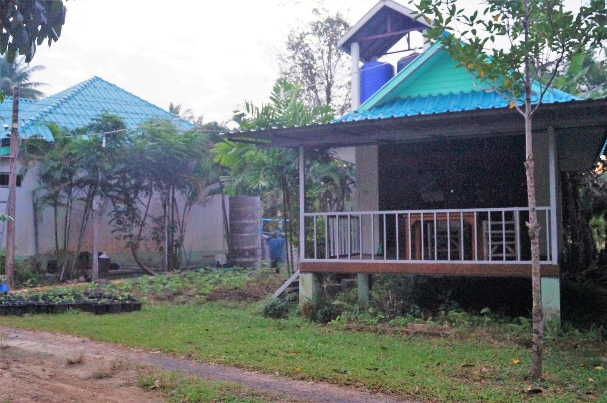 Phangan Farm Stay Eco Organic Farming Ko Pha Ngan