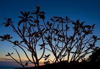 Guest house Chintakiri 3*