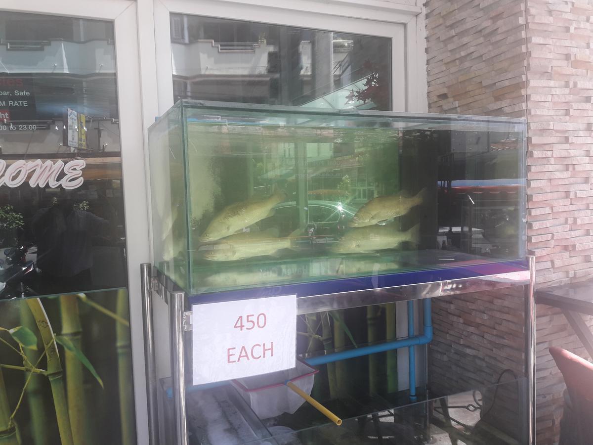 The Haven Hotel & Restaurant Hotel Pattaya