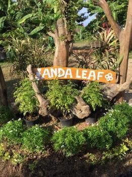 Lanta Andaleaf Resort Koh Lanta