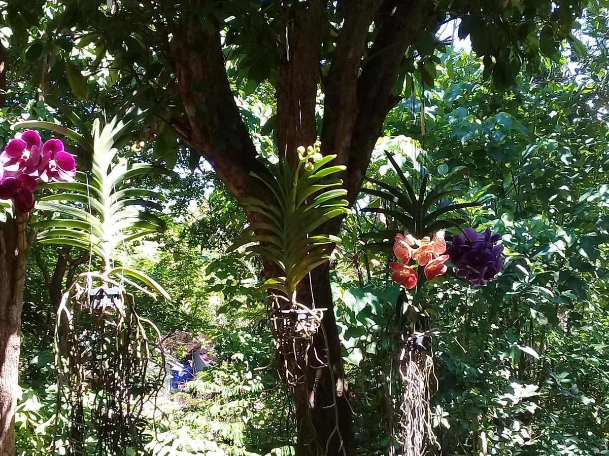 Bootshaus * Koh Lanta