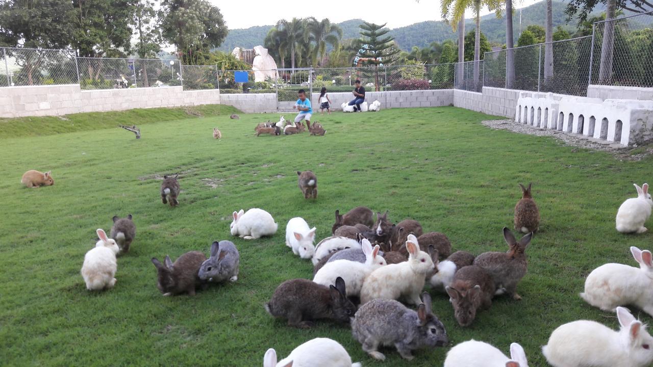 Tanaosri & Creekside Resort 3*