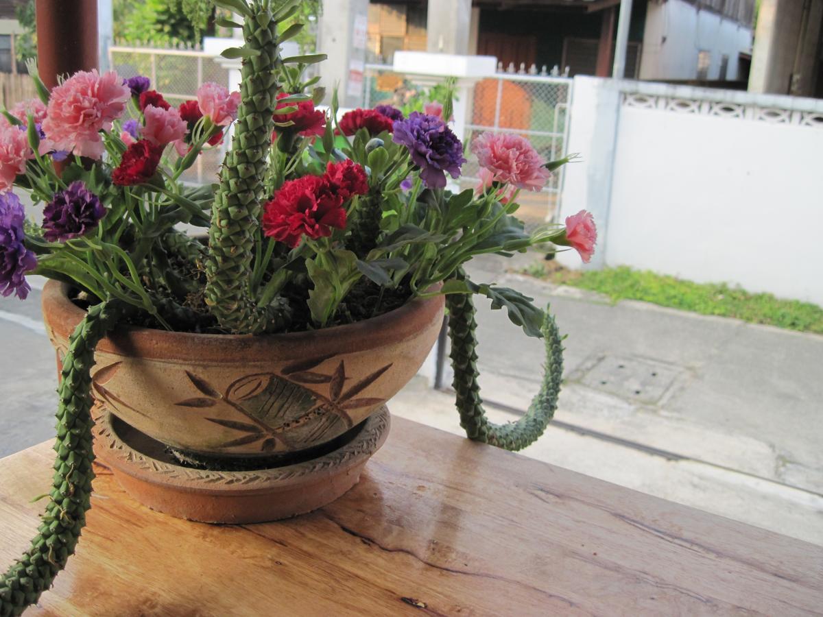 Sakura House * Chiang Mai
