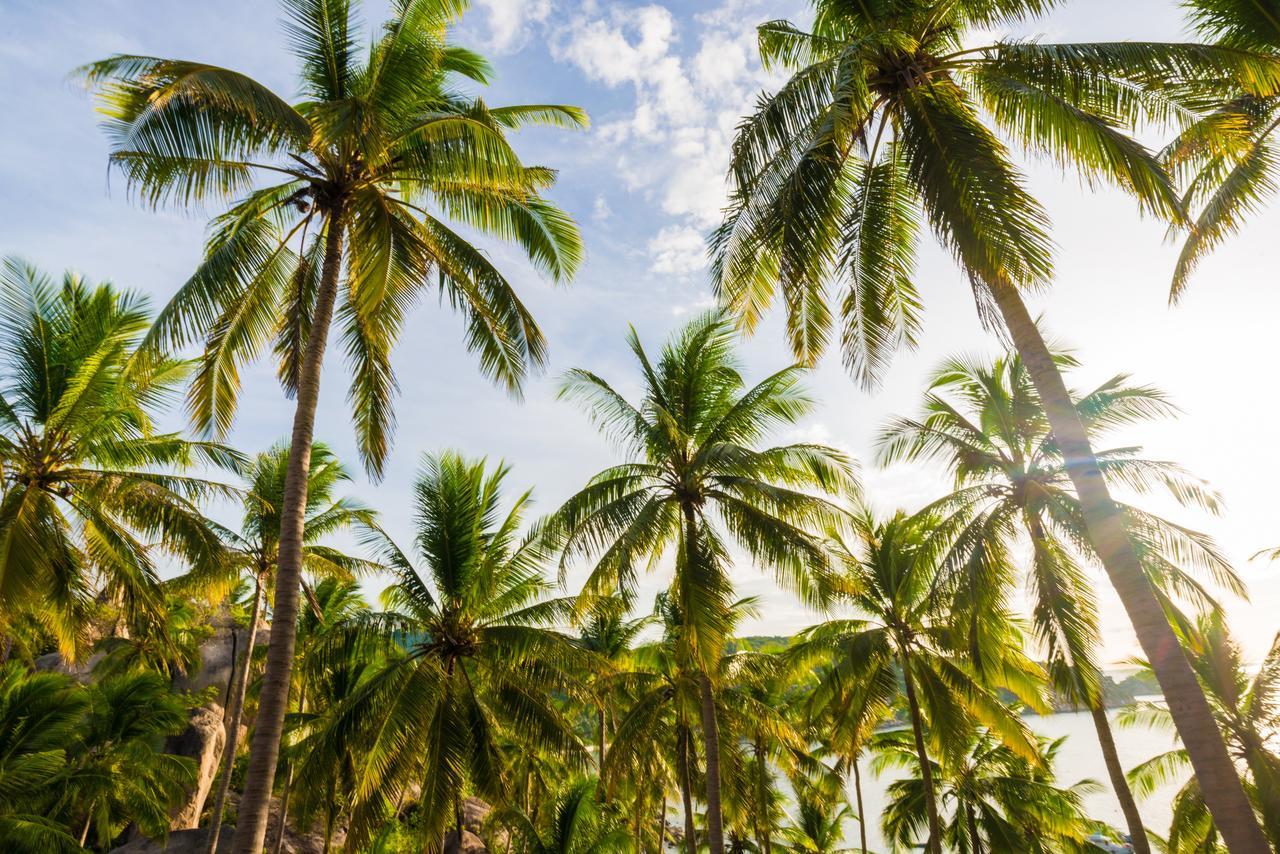 Silan Residence, Koh Phangan - An Authentic Village Experience *