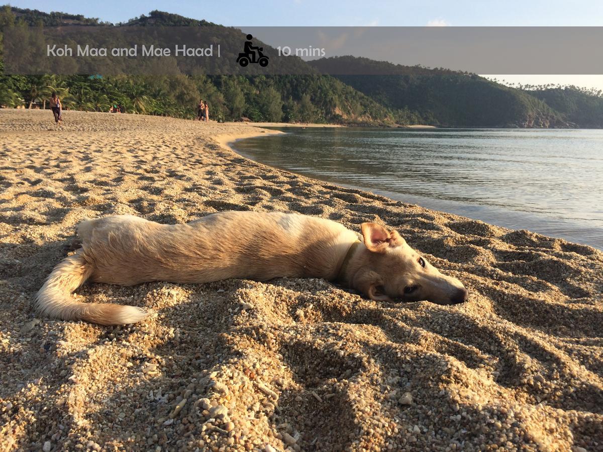 Holiday home Silan Residence, Koh Phangan - An Authentic Village Experience Chaloklum