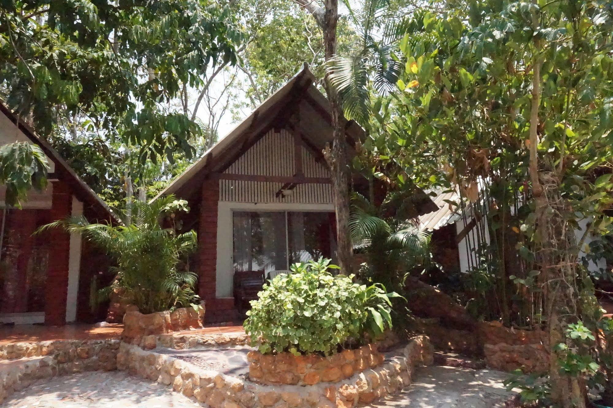 Pine * Krabi