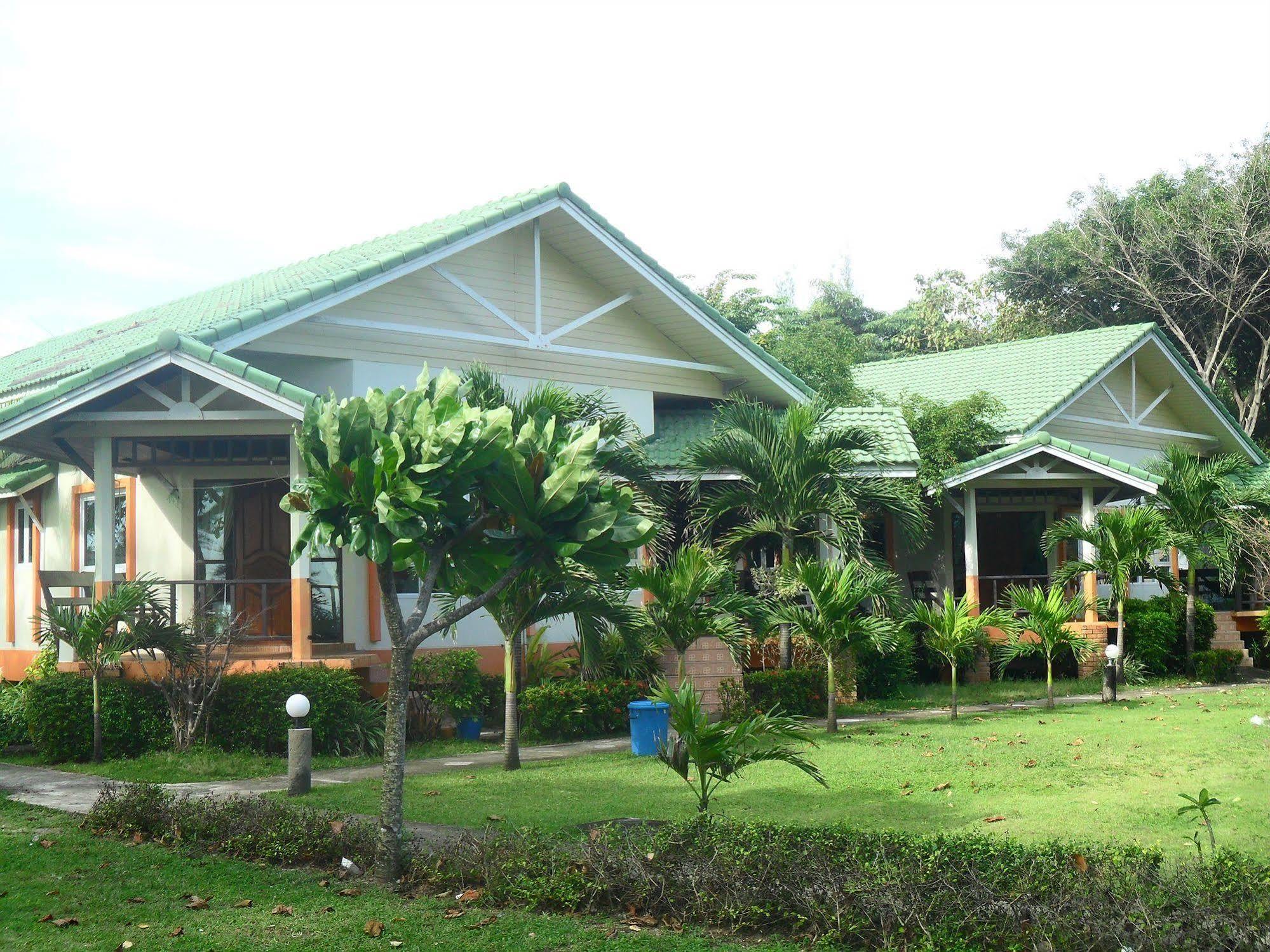 Lanta Palm , - 2*