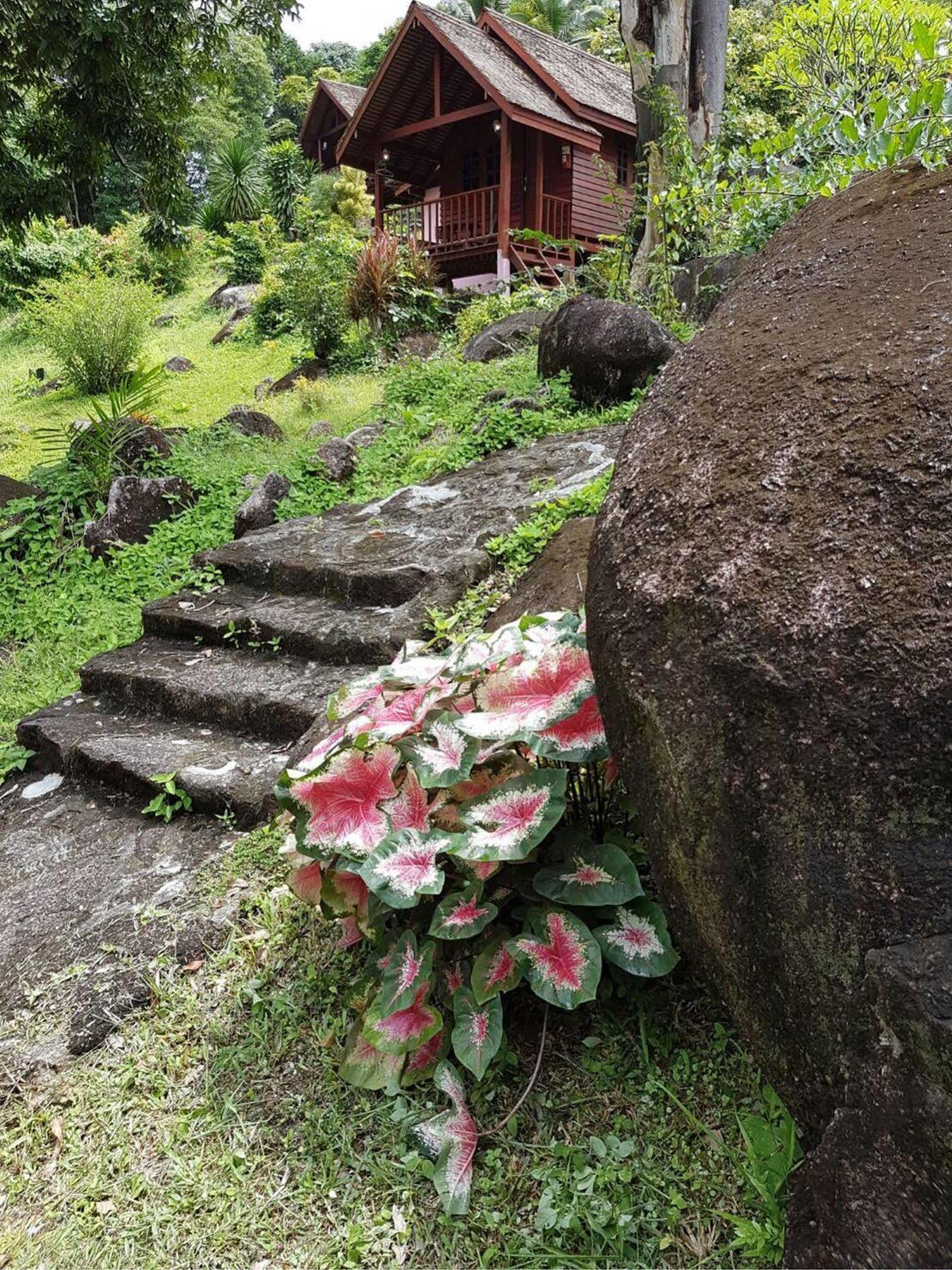 Phanom Bencha Mountain 3*