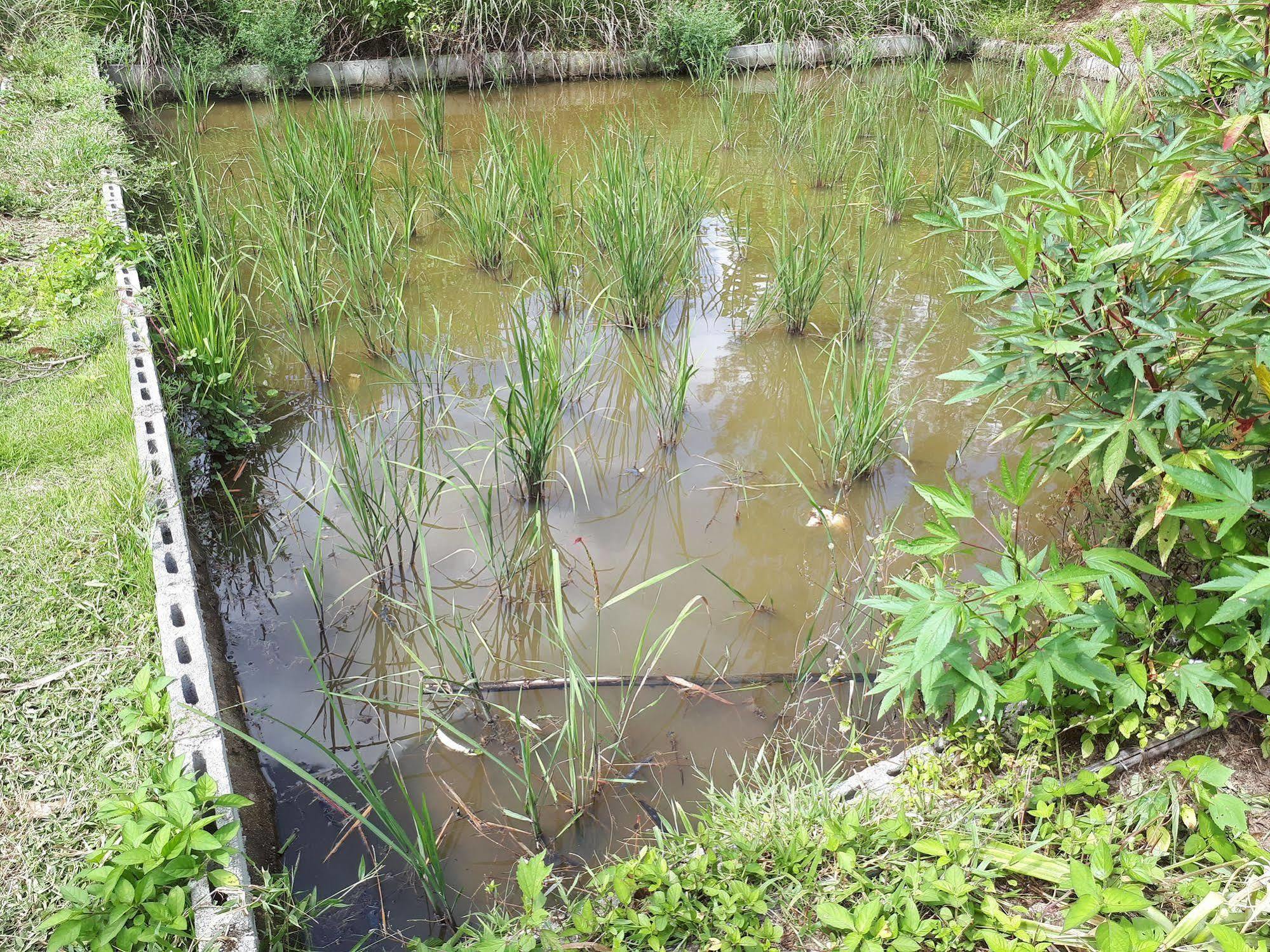 Baansongkhata Resort