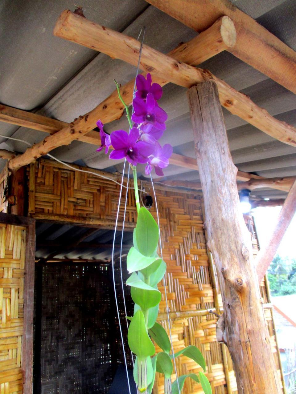 Rimsuan House Guest house 2*