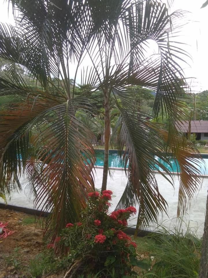 The Valley Hotel 3*
