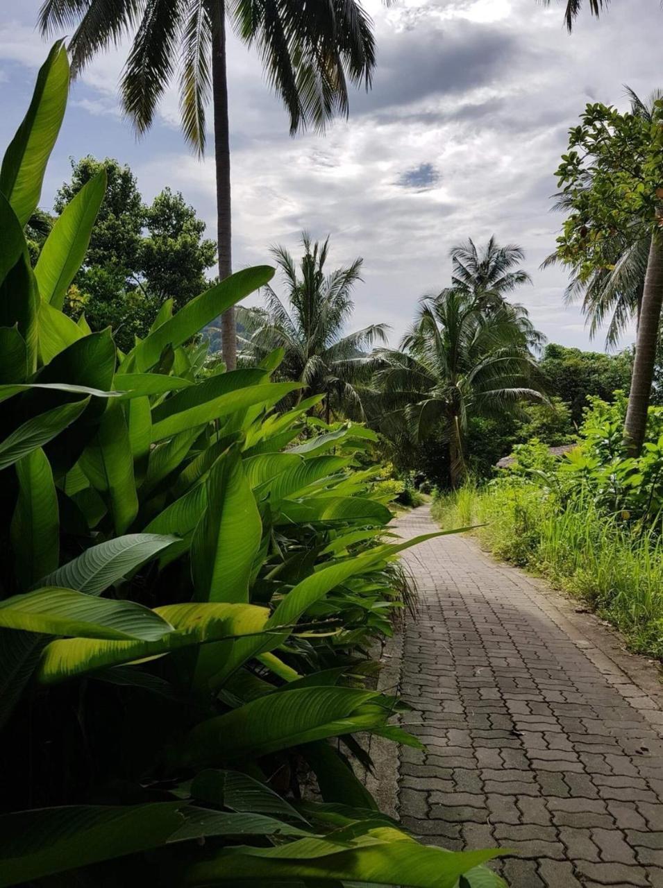 Resort Bulone Viewpoint