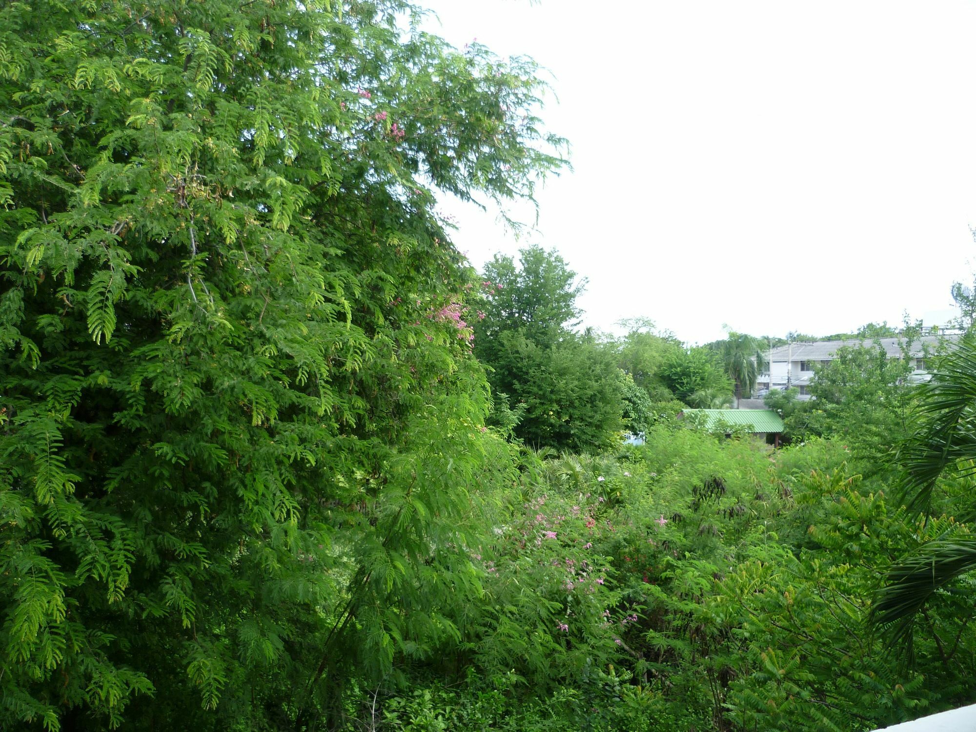 Guest house Palada 2*