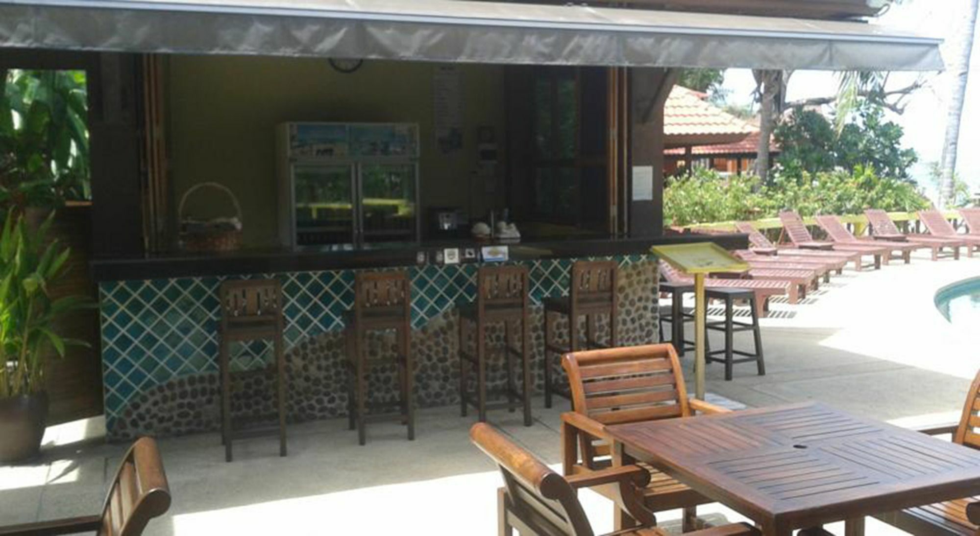 Jungle Gym Guest house