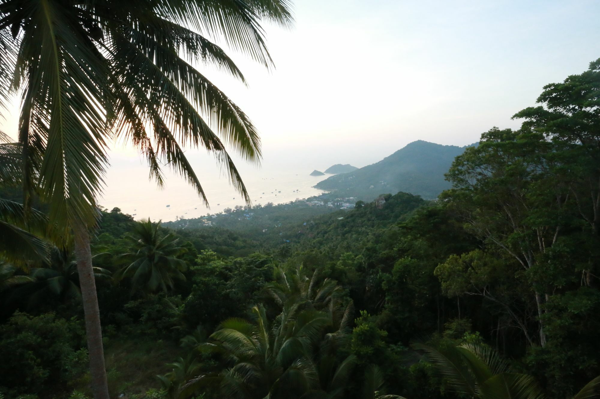 Greenery 3*