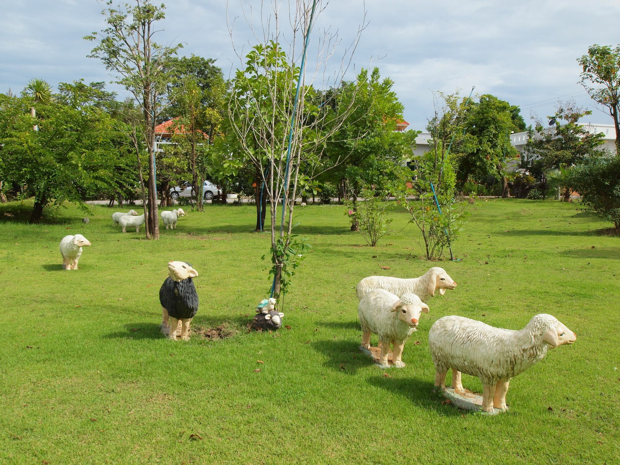 Suanmaihom 3* Suan Phueng