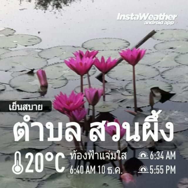Suan Nopparat