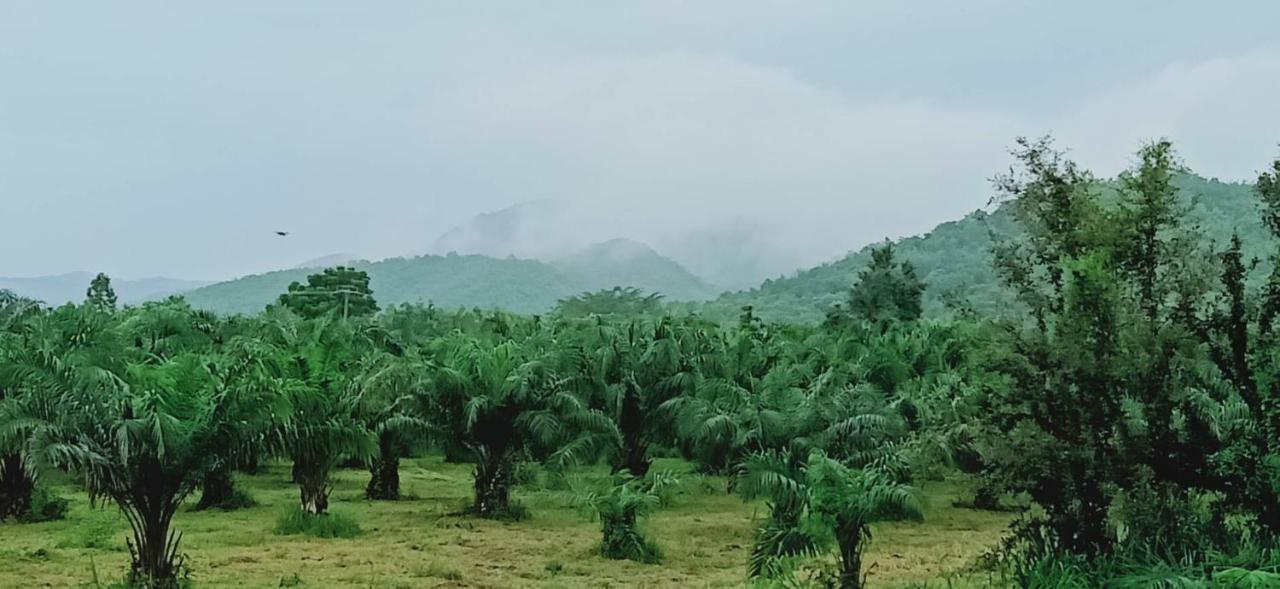 Suan Nopparat