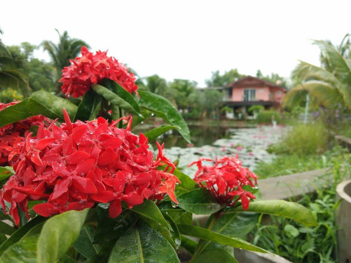 Suan Nopparat Suan Phueng