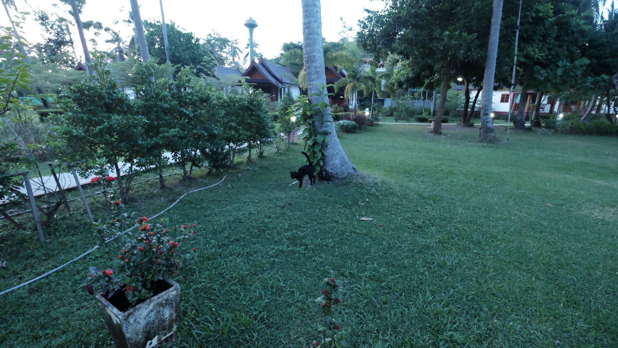 Rasa Sayang - Sha Certificate Koh Lanta