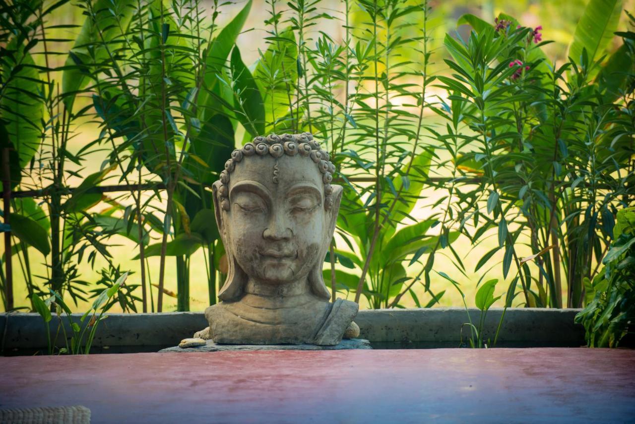 Casa de hóspedes Oasis Yoga